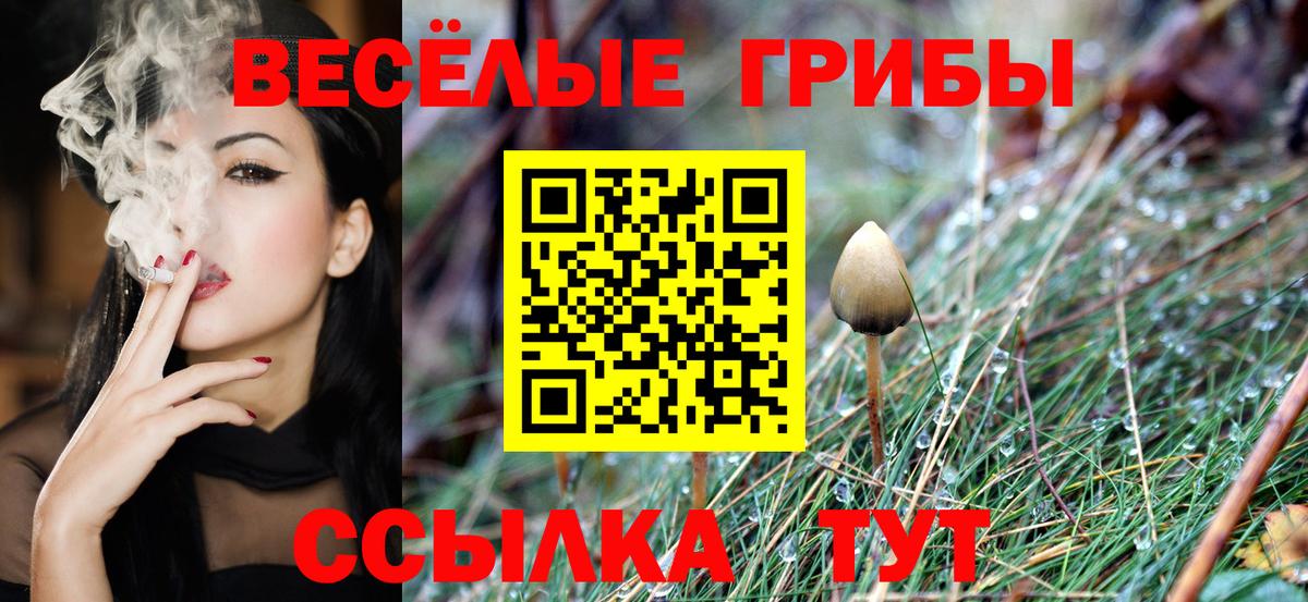 Псилоцибиновые грибы Magic Shrooms  Вход с VPN  Галлюциногенные грибы MAGIC MUSHROOMS  Майский 